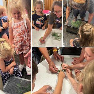 Photo collage of children learning about insects at a library program